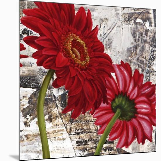 Red Gerberas III-Jenny Thomlinson-Mounted Art Print