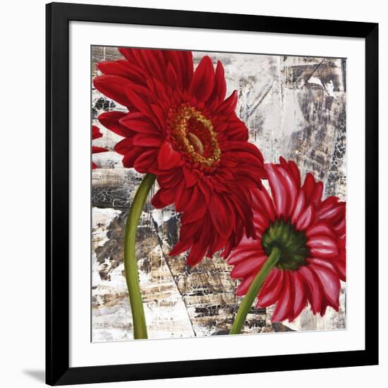 Red Gerberas III-Jenny Thomlinson-Framed Art Print