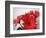 Red Gerbers II-Herb Dickinson-Framed Photographic Print