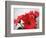 Red Gerbers II-Herb Dickinson-Framed Photographic Print