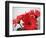 Red Gerbers II-Herb Dickinson-Framed Photographic Print