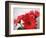 Red Gerbers II-Herb Dickinson-Framed Photographic Print