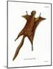 Red Giant Flying Squirrel-null-Mounted Giclee Print