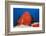 Red Giant Frogfish (Antennarius Commersonii)-Reinhard Dirscherl-Framed Photographic Print