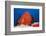 Red Giant Frogfish (Antennarius Commersonii)-Reinhard Dirscherl-Framed Photographic Print