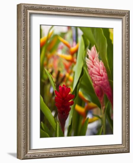 Red Ginger flowers, Seafront Market, St-Paul, Reunion Island, France-Walter Bibikow-Framed Photographic Print