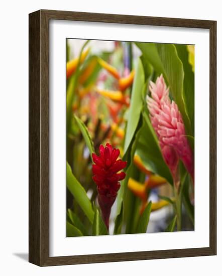 Red Ginger flowers, Seafront Market, St-Paul, Reunion Island, France-Walter Bibikow-Framed Photographic Print