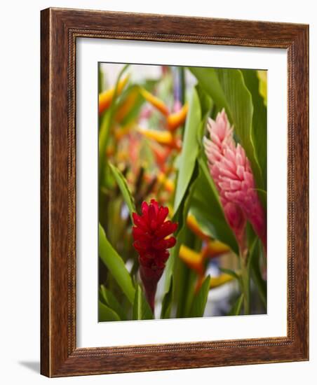 Red Ginger flowers, Seafront Market, St-Paul, Reunion Island, France-Walter Bibikow-Framed Photographic Print