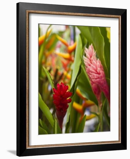 Red Ginger flowers, Seafront Market, St-Paul, Reunion Island, France-Walter Bibikow-Framed Photographic Print