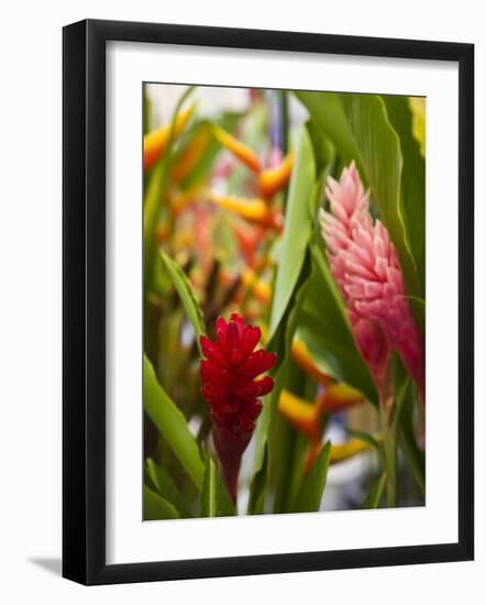 Red Ginger flowers, Seafront Market, St-Paul, Reunion Island, France-Walter Bibikow-Framed Photographic Print