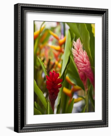 Red Ginger flowers, Seafront Market, St-Paul, Reunion Island, France-Walter Bibikow-Framed Photographic Print