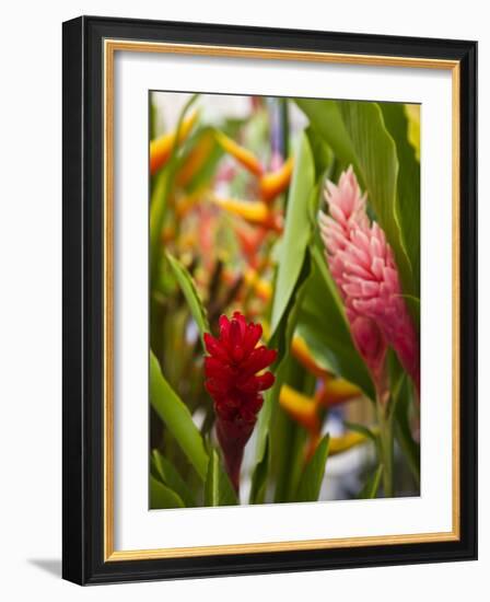 Red Ginger flowers, Seafront Market, St-Paul, Reunion Island, France-Walter Bibikow-Framed Photographic Print