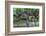 Red Globe Grapes at a Vineyard, San Joaquin Valley, California, Usa-Yadid Levy-Framed Photographic Print