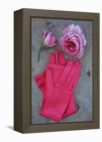 Red Gloves and Rose-Den Reader-Framed Premier Image Canvas