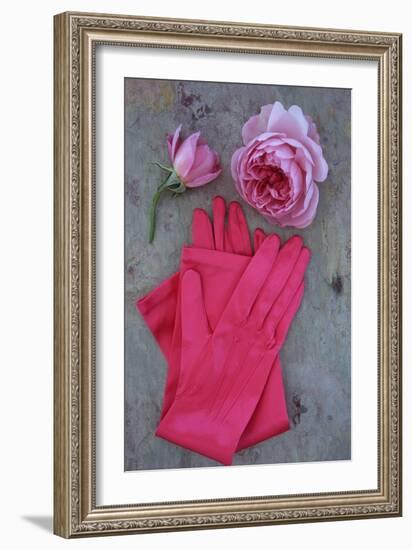 Red Gloves and Rose-Den Reader-Framed Photographic Print