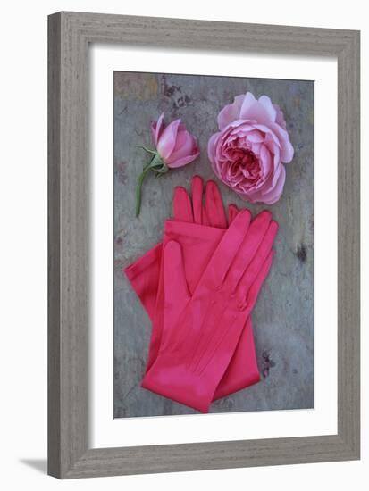 Red Gloves and Rose-Den Reader-Framed Photographic Print
