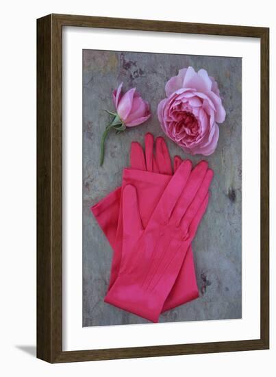 Red Gloves and Rose-Den Reader-Framed Photographic Print