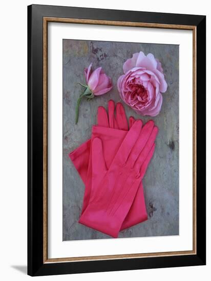 Red Gloves and Rose-Den Reader-Framed Photographic Print