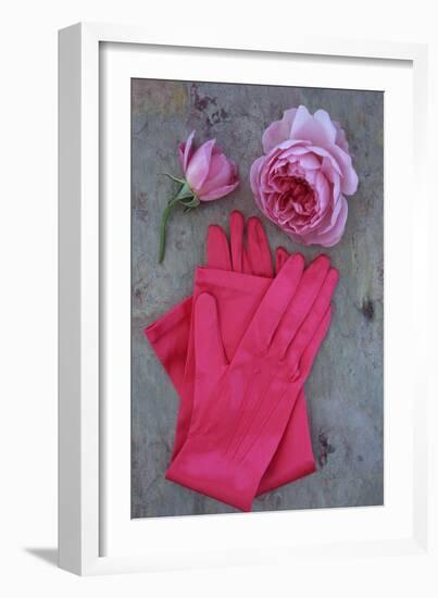 Red Gloves and Rose-Den Reader-Framed Photographic Print