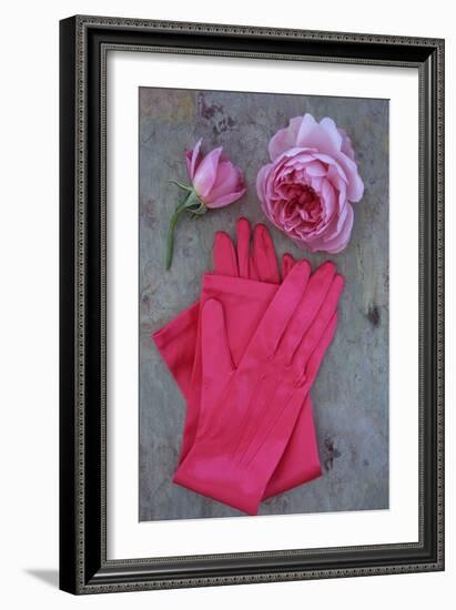 Red Gloves and Rose-Den Reader-Framed Photographic Print