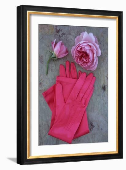 Red Gloves and Rose-Den Reader-Framed Photographic Print