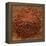 Red Gold Hawaiian Sea Salt-Steve Gadomski-Framed Premier Image Canvas