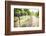 Red Grapes at a Vineyard on Mount Etna Volcano, UNESCO World Heritage Site, Sicily, Italy, Europe-Matthew Williams-Ellis-Framed Photographic Print