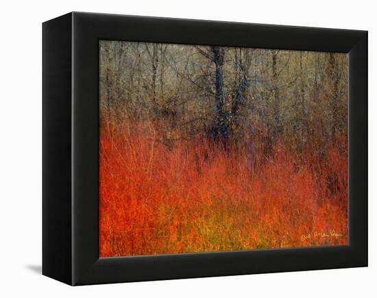 Red Grass II-Chris Vest-Framed Stretched Canvas