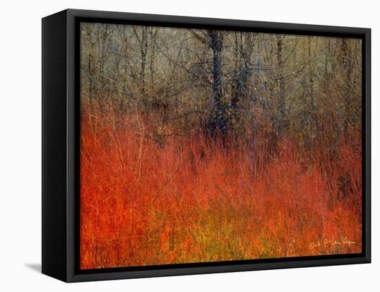 Red Grass II-Chris Vest-Framed Stretched Canvas