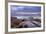 Red Grouse (Lagopus Lagopus Scoticus) on Heather Moorland, Peak District Np, UK-Ben Hall-Framed Photographic Print