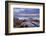 Red Grouse (Lagopus Lagopus Scoticus) on Heather Moorland, Peak District Np, UK-Ben Hall-Framed Photographic Print