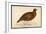 Red Grouse-Reverend Francis O. Morris-Framed Art Print