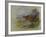 Red Grouse-Archibald Thorburn-Framed Giclee Print