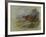 Red Grouse-Archibald Thorburn-Framed Giclee Print