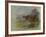 Red Grouse-Archibald Thorburn-Framed Giclee Print