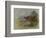 Red Grouse-Archibald Thorburn-Framed Giclee Print