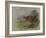 Red Grouse-Archibald Thorburn-Framed Giclee Print