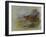 Red Grouse-Archibald Thorburn-Framed Giclee Print