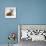 Red Guinea Pig with Silver Fox Rabbit-Jane Burton-Mounted Photographic Print displayed on a wall