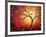 Red Halo-Megan Aroon Duncanson-Framed Premium Giclee Print