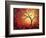 Red Halo-Megan Aroon Duncanson-Framed Art Print