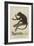 Red-Handed Howler-Jean Gabriel Pretre-Framed Giclee Print