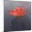 Red Hat, 2004-Lincoln Seligman-Mounted Giclee Print