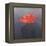 Red Hat, 2004-Lincoln Seligman-Framed Premier Image Canvas