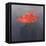 Red Hat, 2004-Lincoln Seligman-Framed Premier Image Canvas