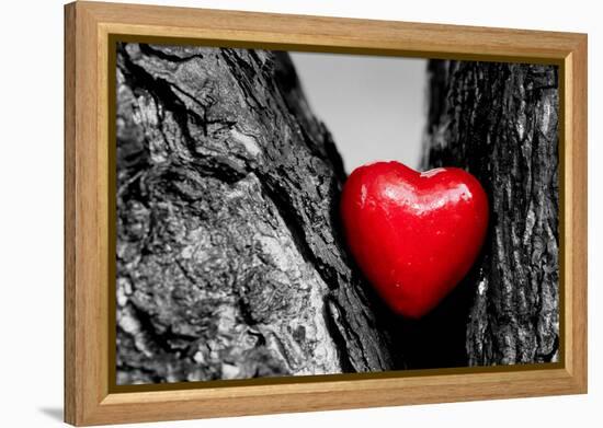 Red Heart in a Tree Trunk. Romantic Symbol of Love, Valentine's Day. Black and White with Red.-Michal Bednarek-Framed Premier Image Canvas