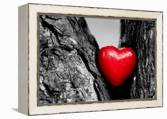 Red Heart in a Tree Trunk. Romantic Symbol of Love, Valentine's Day. Black and White with Red.-Michal Bednarek-Framed Premier Image Canvas