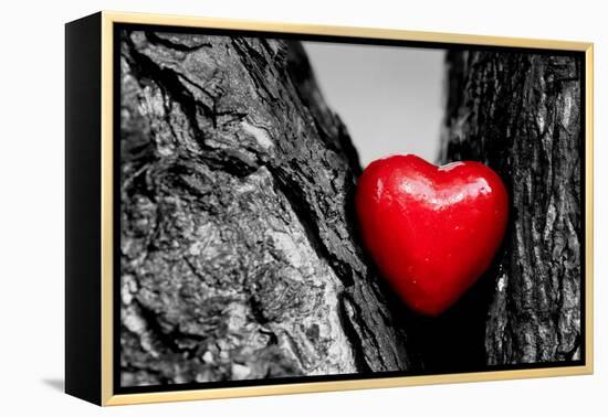 Red Heart in a Tree Trunk. Romantic Symbol of Love, Valentine's Day. Black and White with Red.-Michal Bednarek-Framed Premier Image Canvas