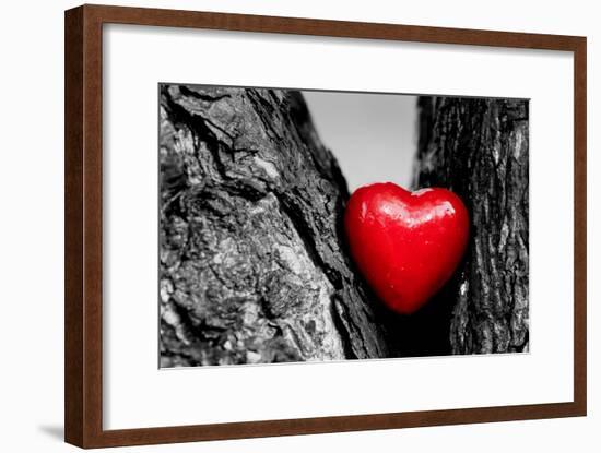 Red Heart in a Tree Trunk. Romantic Symbol of Love, Valentine's Day. Black and White with Red.-Michal Bednarek-Framed Photographic Print