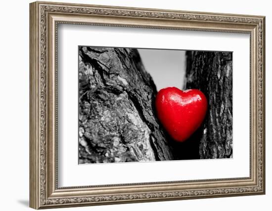 Red Heart in a Tree Trunk. Romantic Symbol of Love, Valentine's Day. Black and White with Red.-Michal Bednarek-Framed Photographic Print